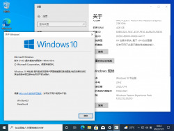 Windows 10-10.0.19044.1021-Version.png