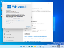 Windows 11-10.0.21380.1001-Version.png
