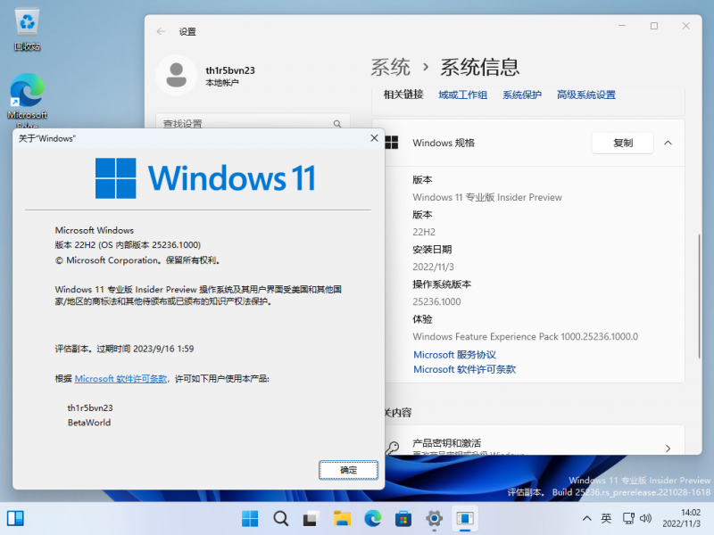 文件:Windows 11-10.0.25236.1000-Version.png