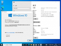 Windows 10-10.0.19044.1263-Version.png