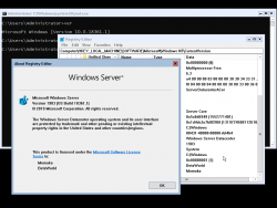Windows Server 2019-10.0.18361.1-Version.png