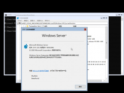 Windows Server 2019-10.0.19043.844-Version.png