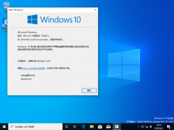 Windows10-10.0.19028.1-Version.png