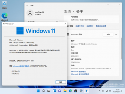Windows 11-10.0.22483.1000-Version.png