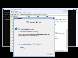 Windows Server 2019-10.0.19043.867-Version.png