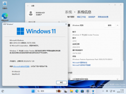 Windows 11-10.0.25276.1000-Version.png