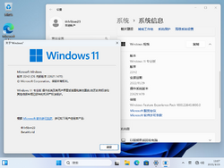 Windows 11-10.0.22621.1470-Version.png