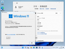 Windows 11-10.0.22616.1-Version.png