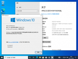 Windows 10-10.0.19044.1319-Version.png