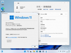 Windows 11-10.0.25136.1000-Version.png