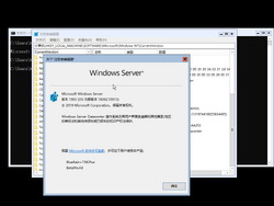 Windows Server 2019-10.0.18362.10013-Version.png