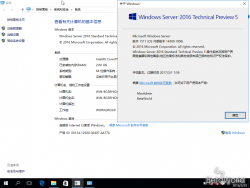 Windows Server 2016-10.0.14300.1006 v1.000-Version.png