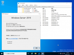 Windows Server 2022-10.0.20236.1005-Version.png