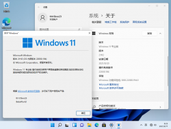 Windows 11-10.0.22000.194-Version.png