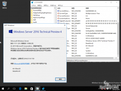 Windows Server 2016-10.0.10586.29-Version.png