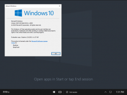 Windows 10 Team-10.0.20211.1000-Version.png