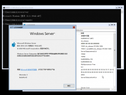 Windows Server 2019-10.0.19042.487-Version.png