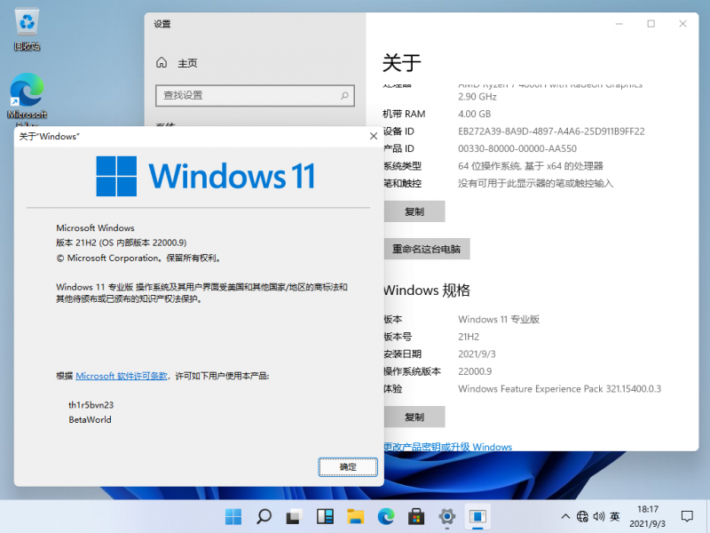 文件:Windows 11-10.0.22000.9-Version.png