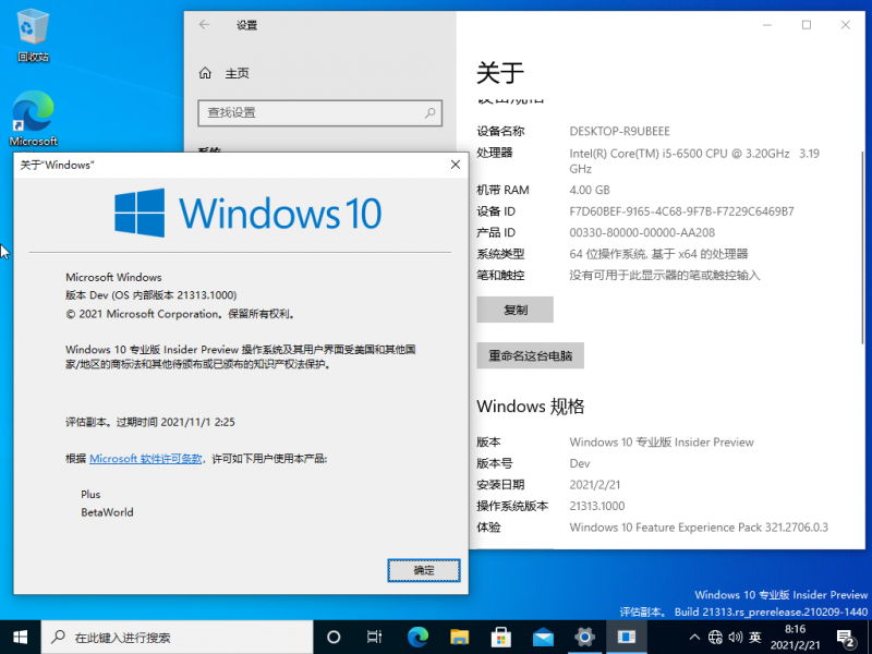 文件:Windows 10-10.0.21313.1000-Version.png