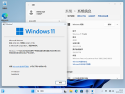 Windows 11-10.0.22621.1778-Version.png