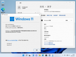 Windows 11-10.0.22000.132-Version.png