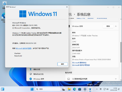 Windows 11-10.0.23419.1000-Version.png
