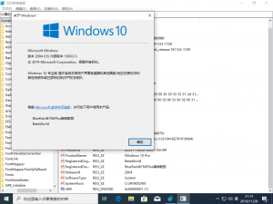 Windows10-10.0.19033.1-Version.png