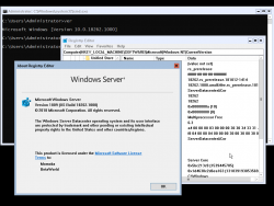 Windows Server 2019-10.0.18262.1000-Version.png