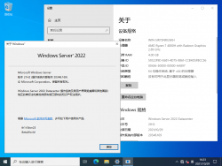 Windows Server 2022-10.0.20348.169-Version.png