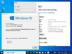 Windows 10-10.0.19044.1288-Version.png