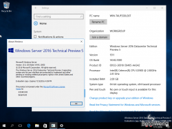 Windows Server 2016-10.0.14342.1000-Version.png