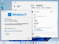 Windows 11-10.0.25211.1001-Version.png
