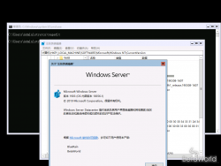 Windows Server 2019-10.0.18356.1-Version.png