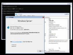 Windows Server Semi-Annual Channel-10.0.19008.1-Version.png
