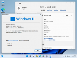 Windows 11-10.0.22622.382-Version.png