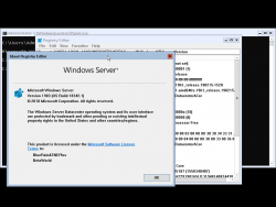Windows Server v1903-10.0.18342.1-Version.png