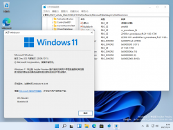 Windows 11-10.0.22509.1011-Version.png