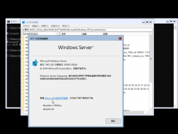 Windows Server Semi-Annual Channel-10.0.18362.10024-Version.png