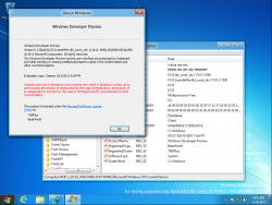 Windows 8-6.2.8133.0-fbl core2 sfs-Version.png