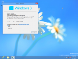 Windows8-6.2.8513-Version.png