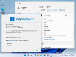 Windows 11-10.0.22598.1-Version.png