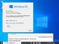 Windows 10 10.0.19577.1000 Version.png