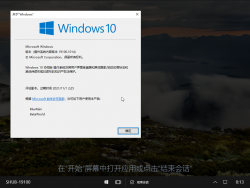 Windows 10 Team-10.0.19100.1014-Version.png