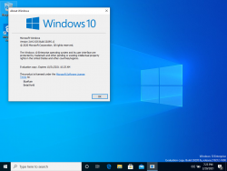 Windows 10-10.0.20295.1-Version.png