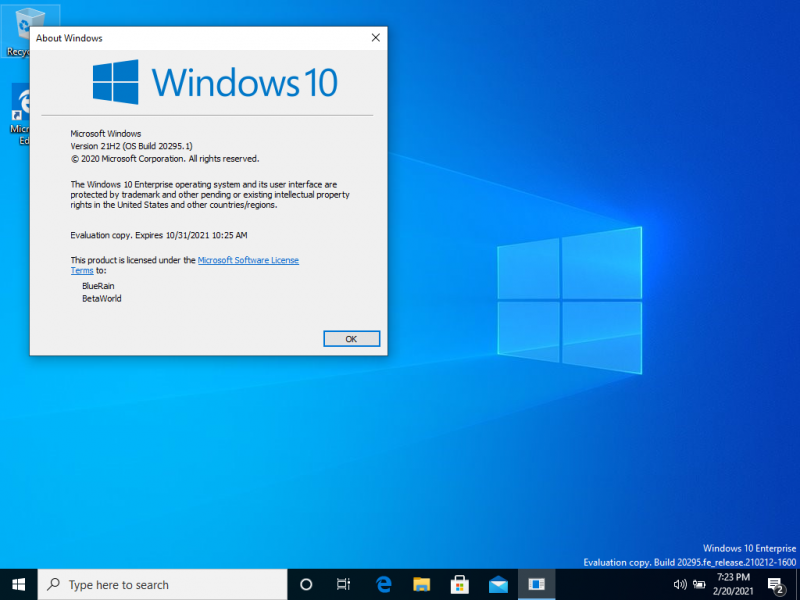 文件:Windows 10-10.0.20295.1-Version.png