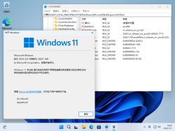Windows 11-10.0.22621.169-Version.png