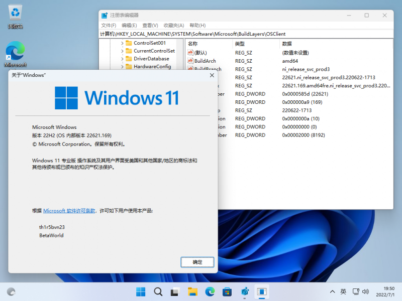 文件:Windows 11-10.0.22621.169-Version.png