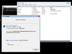 Azure Stack HCI-10.0.17784.1259-Version.png
