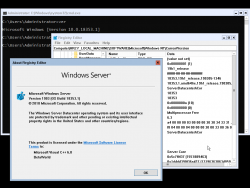 Windows Server 2019-10.0.18353.1-Version.png