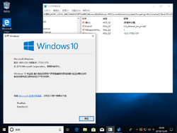 Windows 10-10.0.17763.107-Version.png